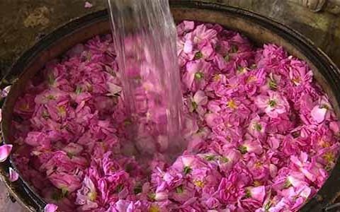 تصویر 1 از قیمت خرید گلاب دو آتیشه سنگین + فروش ویژه